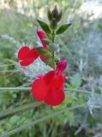 P1240016.webp
