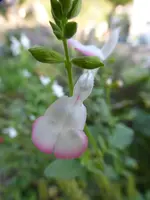 P1240020.webp