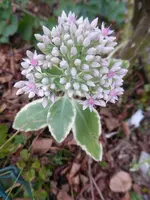 P1240061.webp