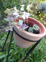 P1240116.webp