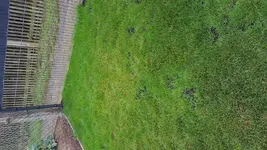 PHOTO_20161001_110438.webp
