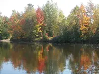 PA050319.JPG