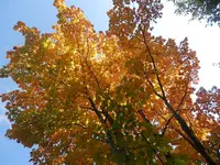 PA050323.webp
