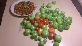 20161007_064940.jpg