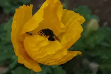DSCF7583.webp