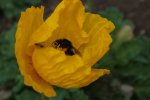 DSCF7583.jpg