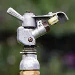 Bauer-3.webp