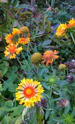 IMG_20161008_081741.webp