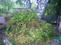 IMG_20161008_205940.webp