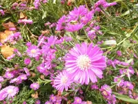 DSCI0554.webp