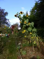 P1020012.webp