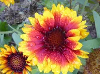 P1020020.webp