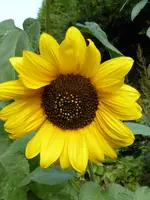 P1020025.webp