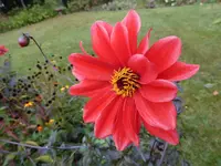P1020037.webp