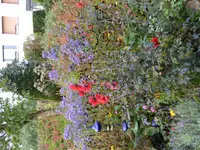 P1020038.webp