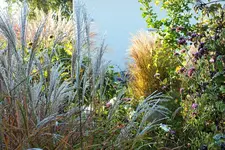 DSCF7612 (2).webp