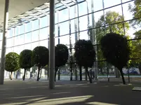P1000209.webp