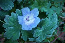 DSCF7623 (2).jpg