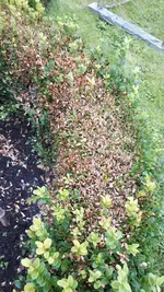 20160812_174253_resized.webp