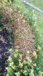 20160812_174253_resized.jpg