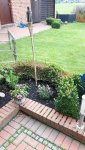 20160812_174316_resized.jpg