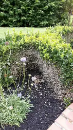 20160812_174326_resized.jpg