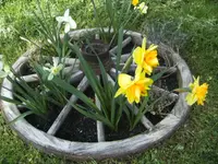 BILD3922.webp