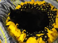 IMGP3843.webp