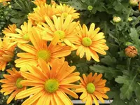 DSCI0289 (1).webp