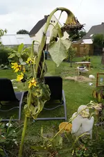_DSC1120.webp