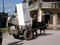IMGP0510.webp