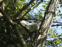 BILD5917.webp