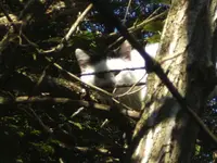 BILD5920.webp
