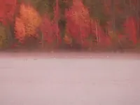 PA120325.webp