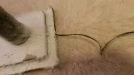 20161013_182659.jpg