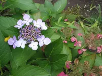 IMG_7480.jpg