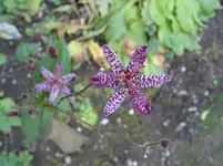 IMG_7485.jpg