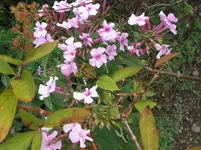 IMG_7486.jpg
