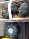 IMG_20161013_165138.jpg
