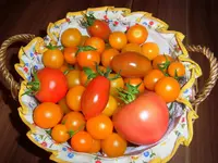 001.webp