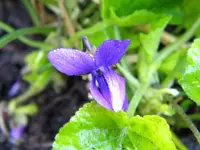 DSCN7090.webp