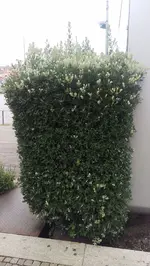 IMG-20160524-WA0014.webp