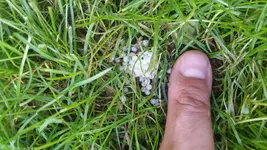 20160923_165632.webp