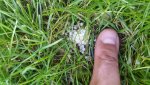 20160923_165632.jpg