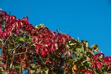 IMG_8350-2.jpg