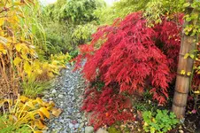 DSCF7643 (2).webp