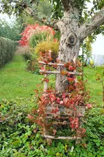 DSCF7637 (2).jpg