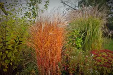 DSCF7653 (2).webp
