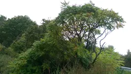 IMAG0999.webp