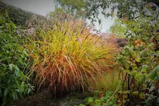 DSCF7658 (2).webp